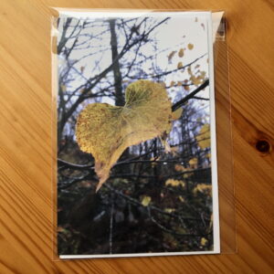 Heart Leaf Greeting Card. Inside: The world is made better because you are in it.